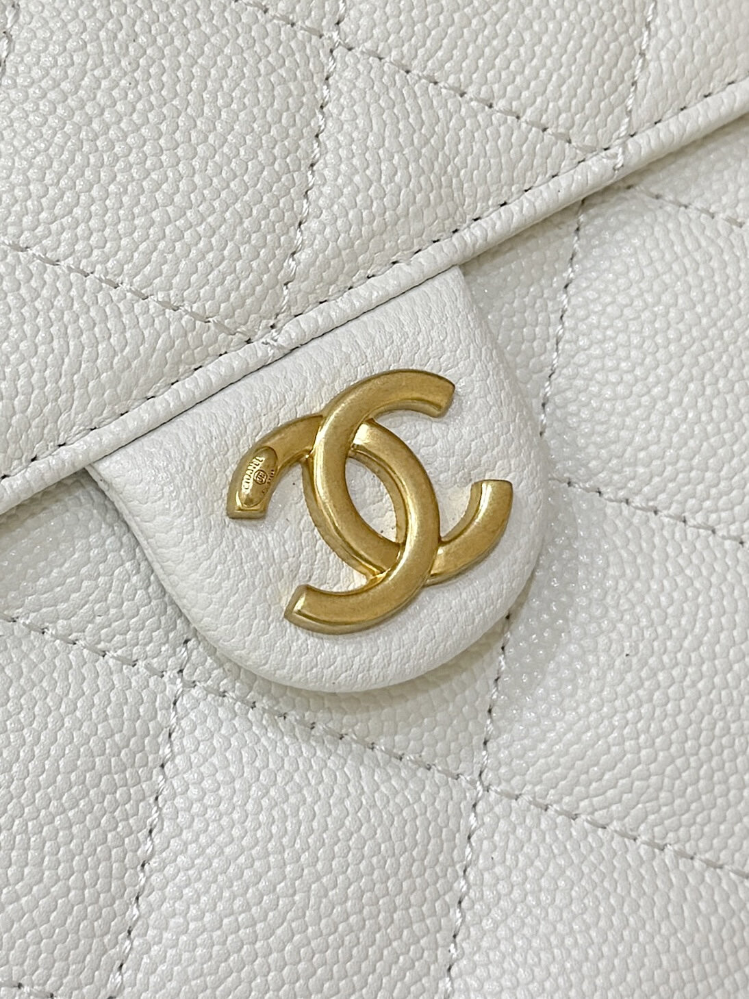 wsxc1756552447147 5 jpg