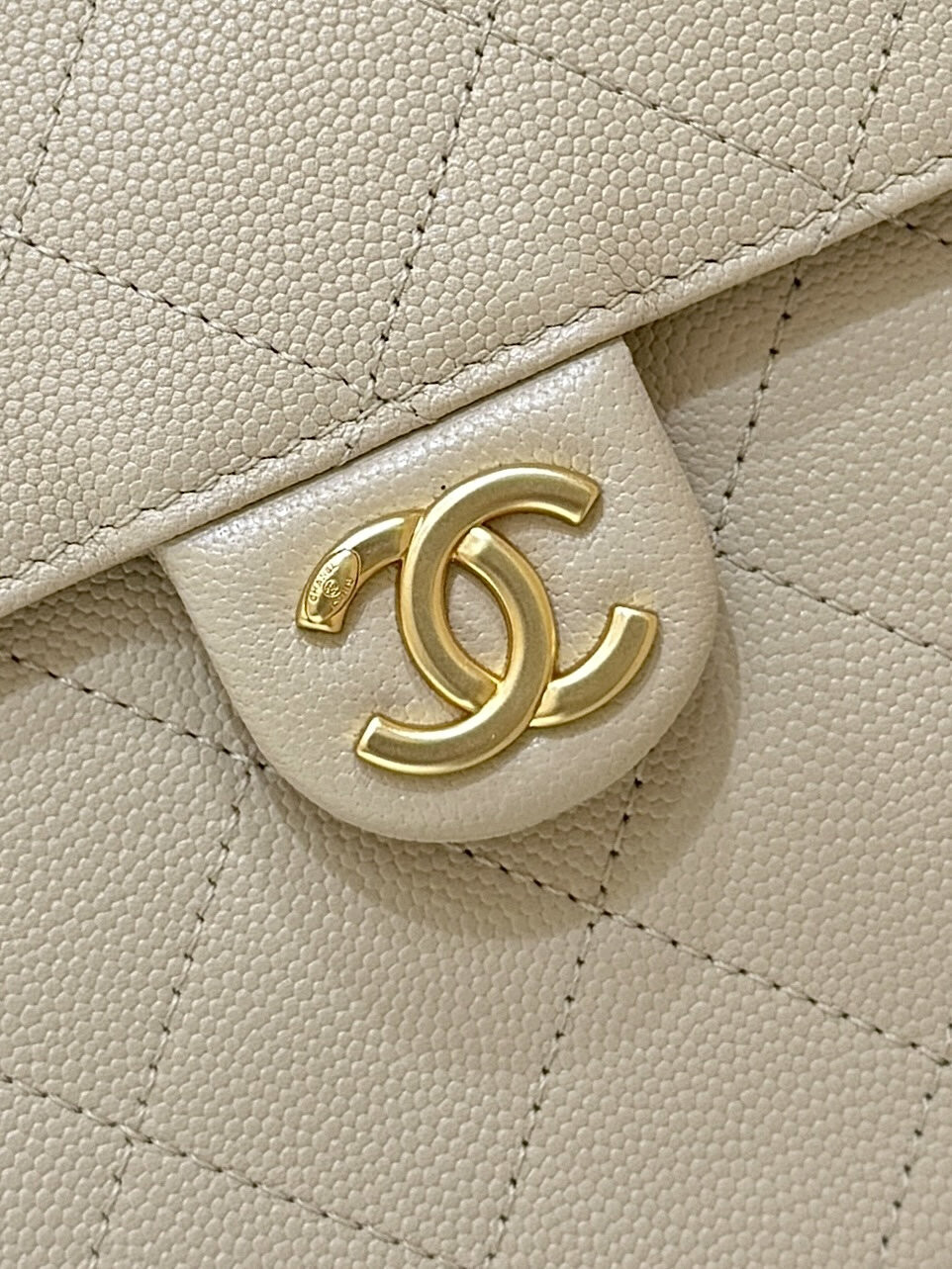 wsxc1756552604728 4 jpg