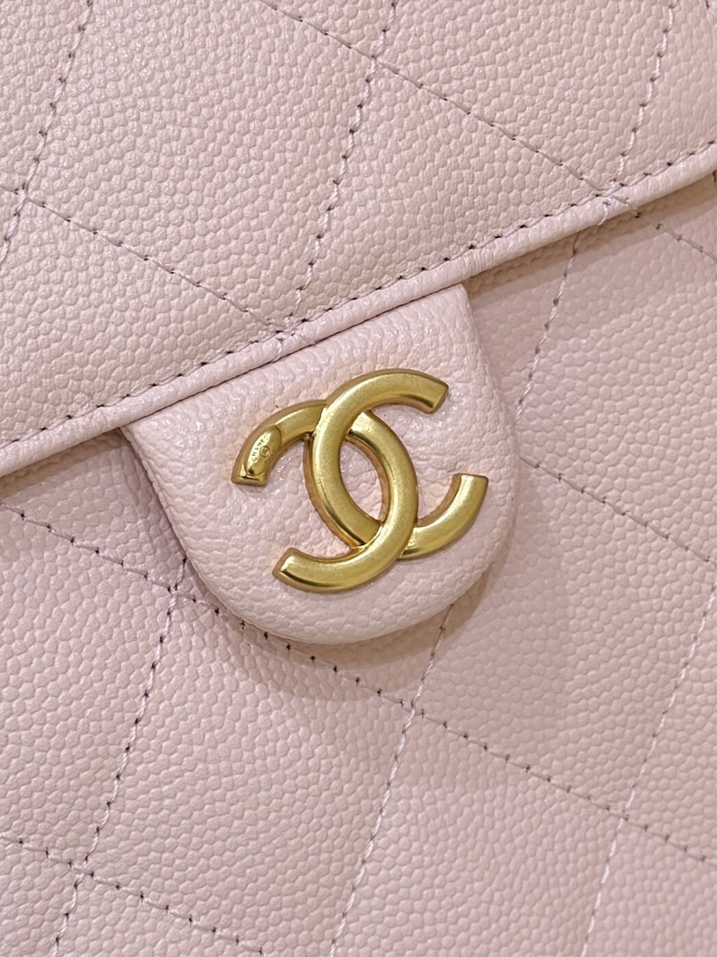 wsxc1756553138569 5 jpg