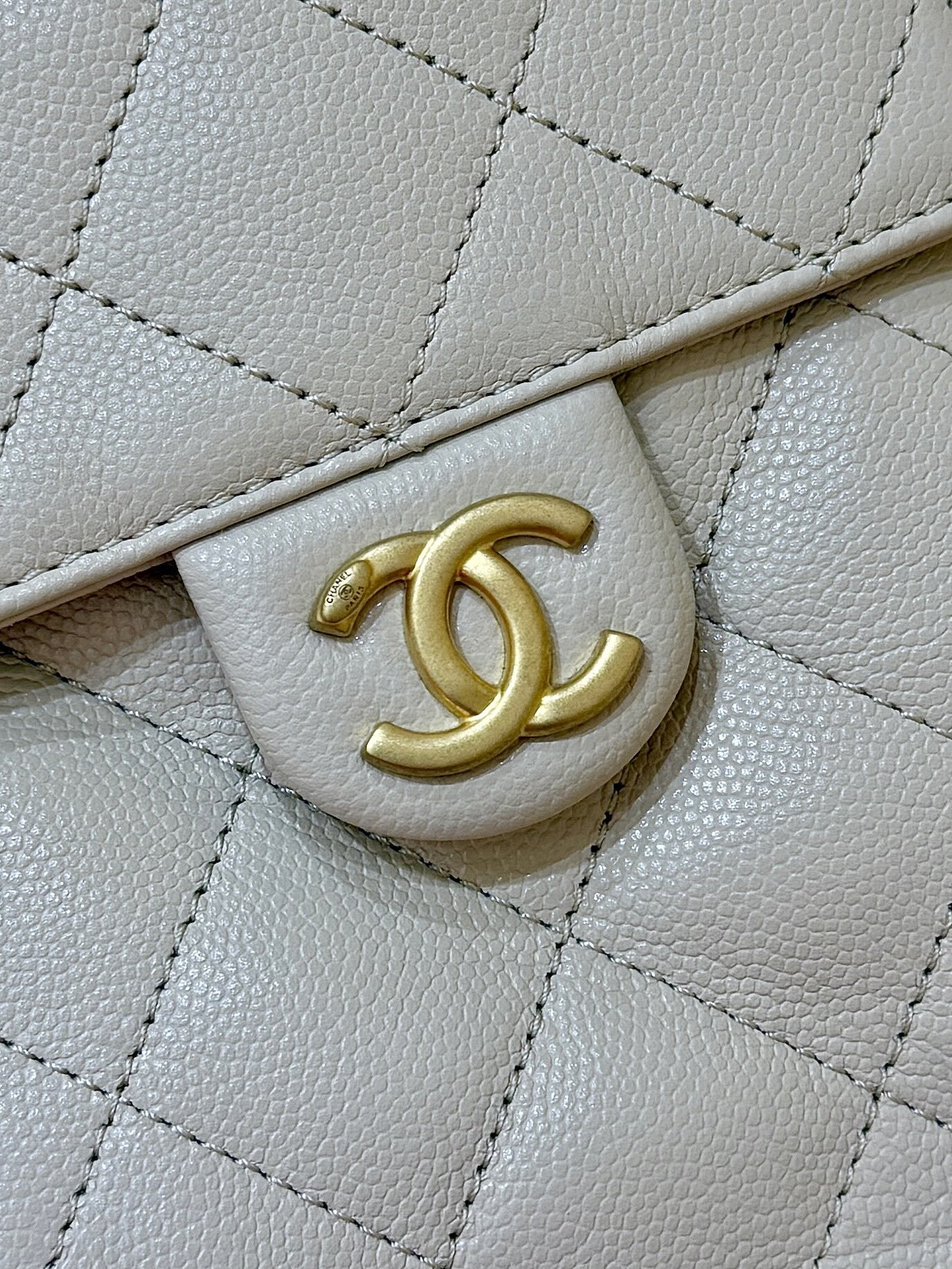 wsxc1756553728906 6 jpg