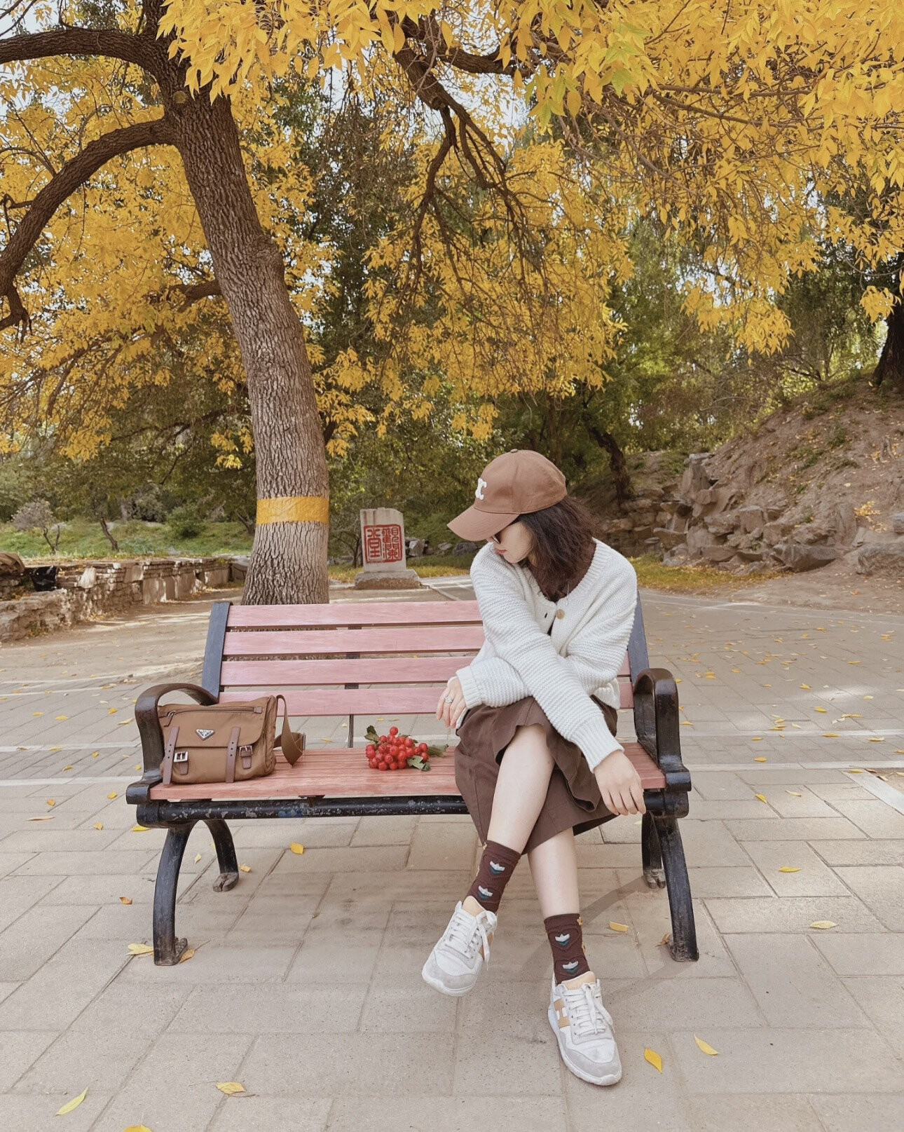 wsxc1757845413127 0 jpg