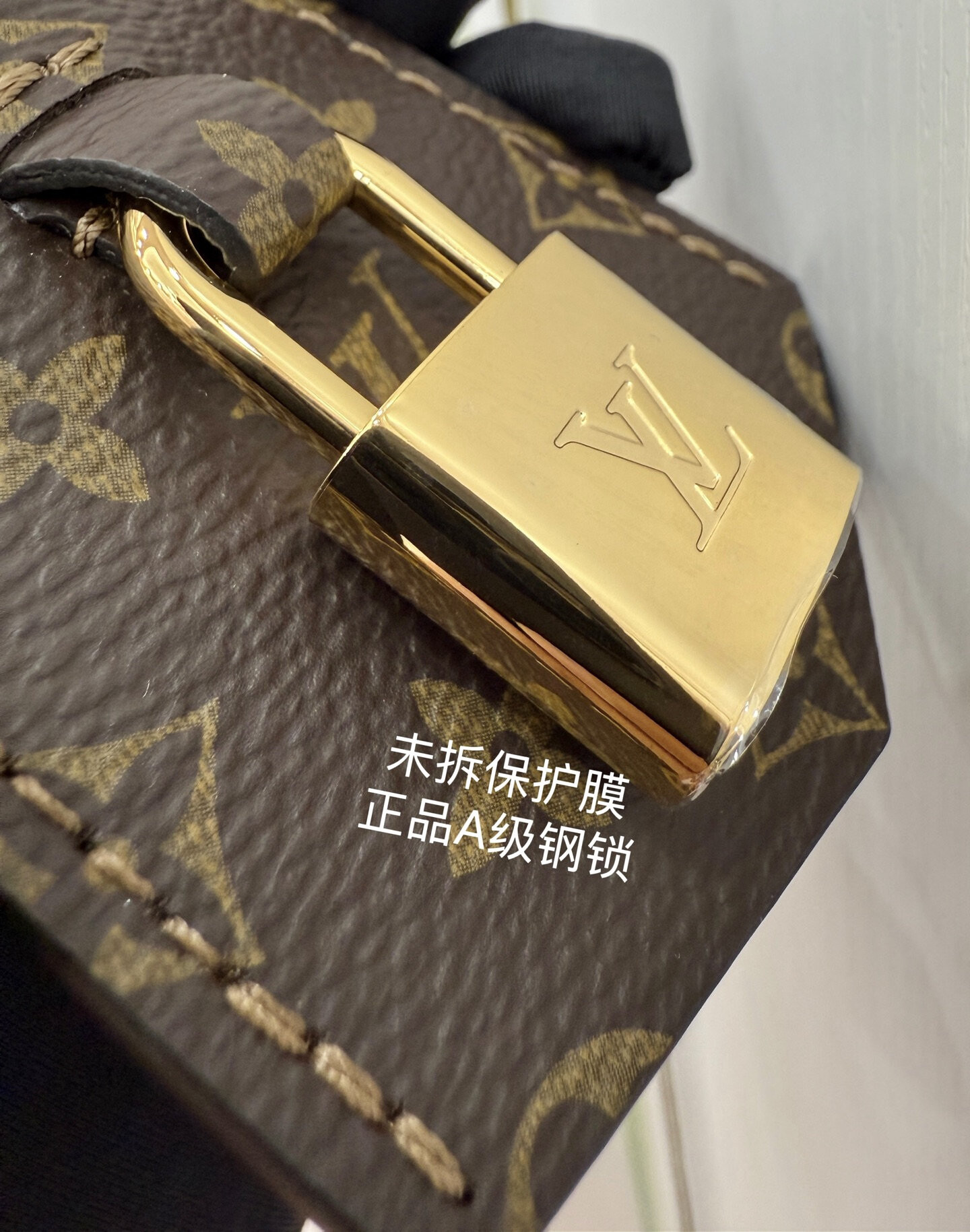 wsxc1758027575587 1 jpg
