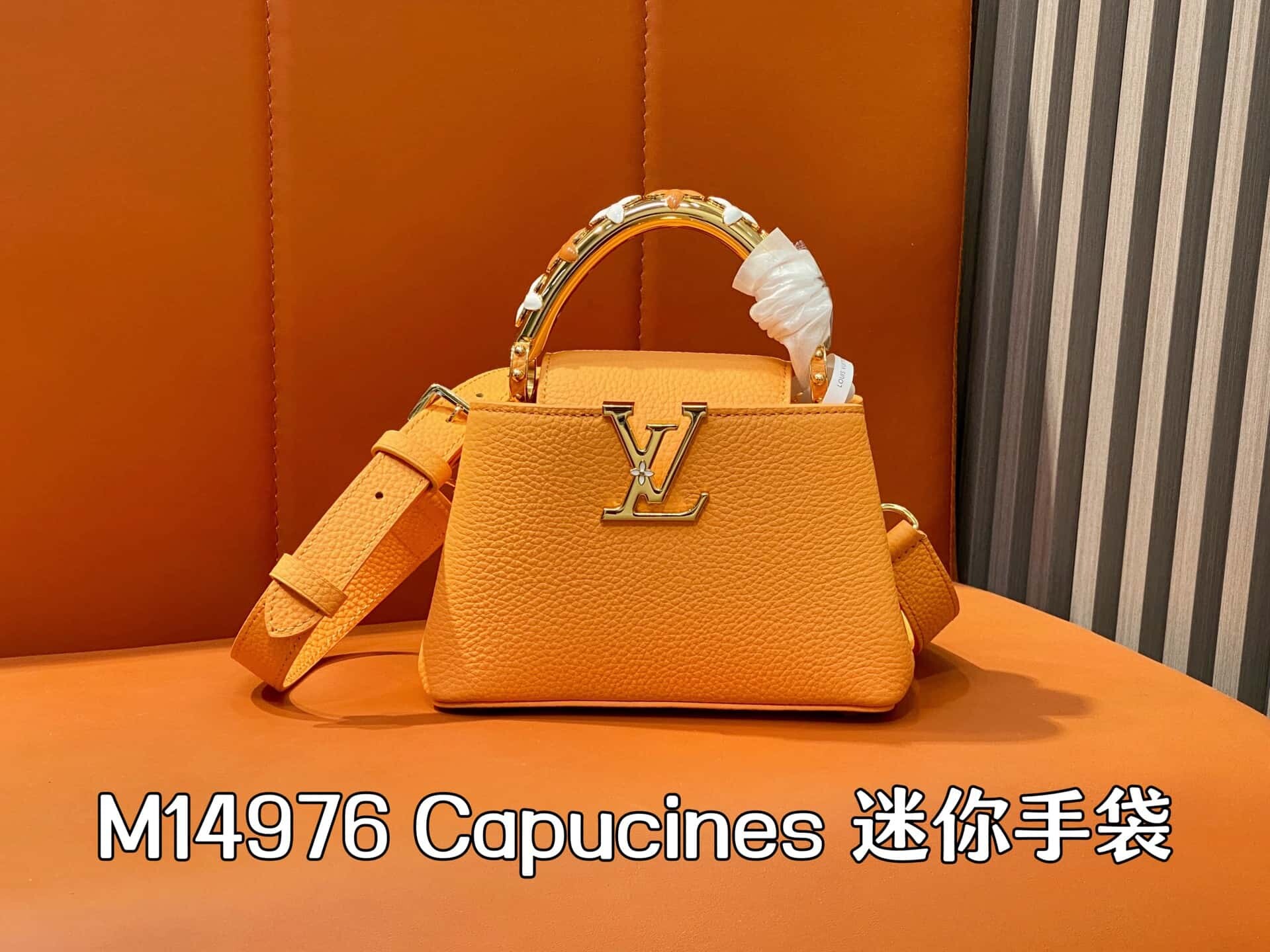 wsxc1760535404816 0