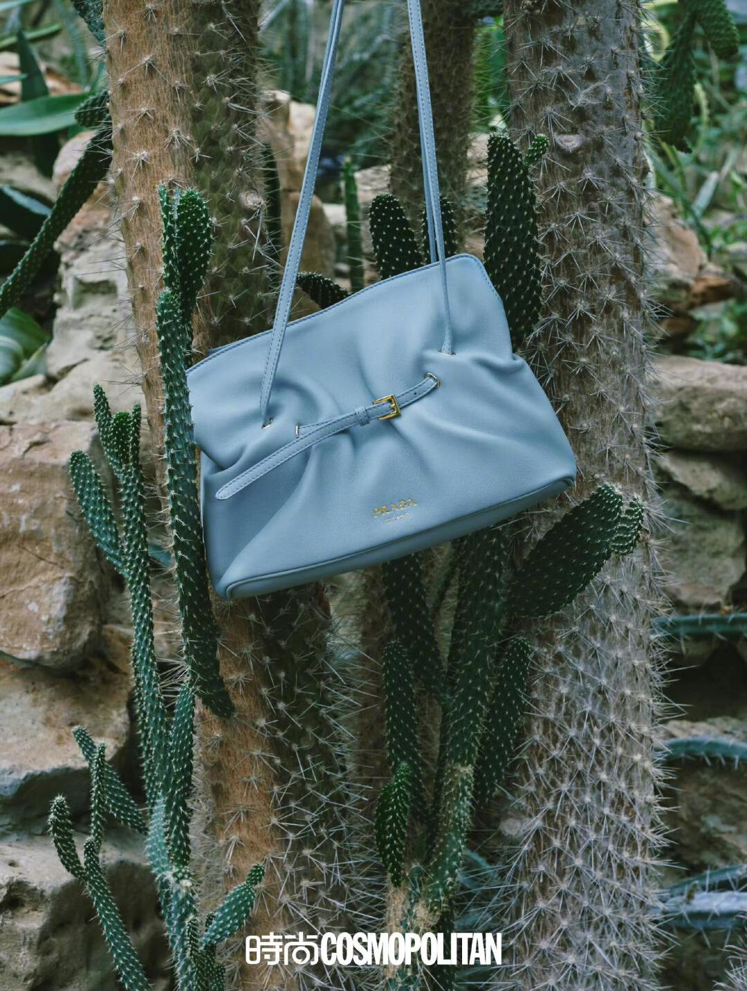 wsxc1760631039869 1 jpg