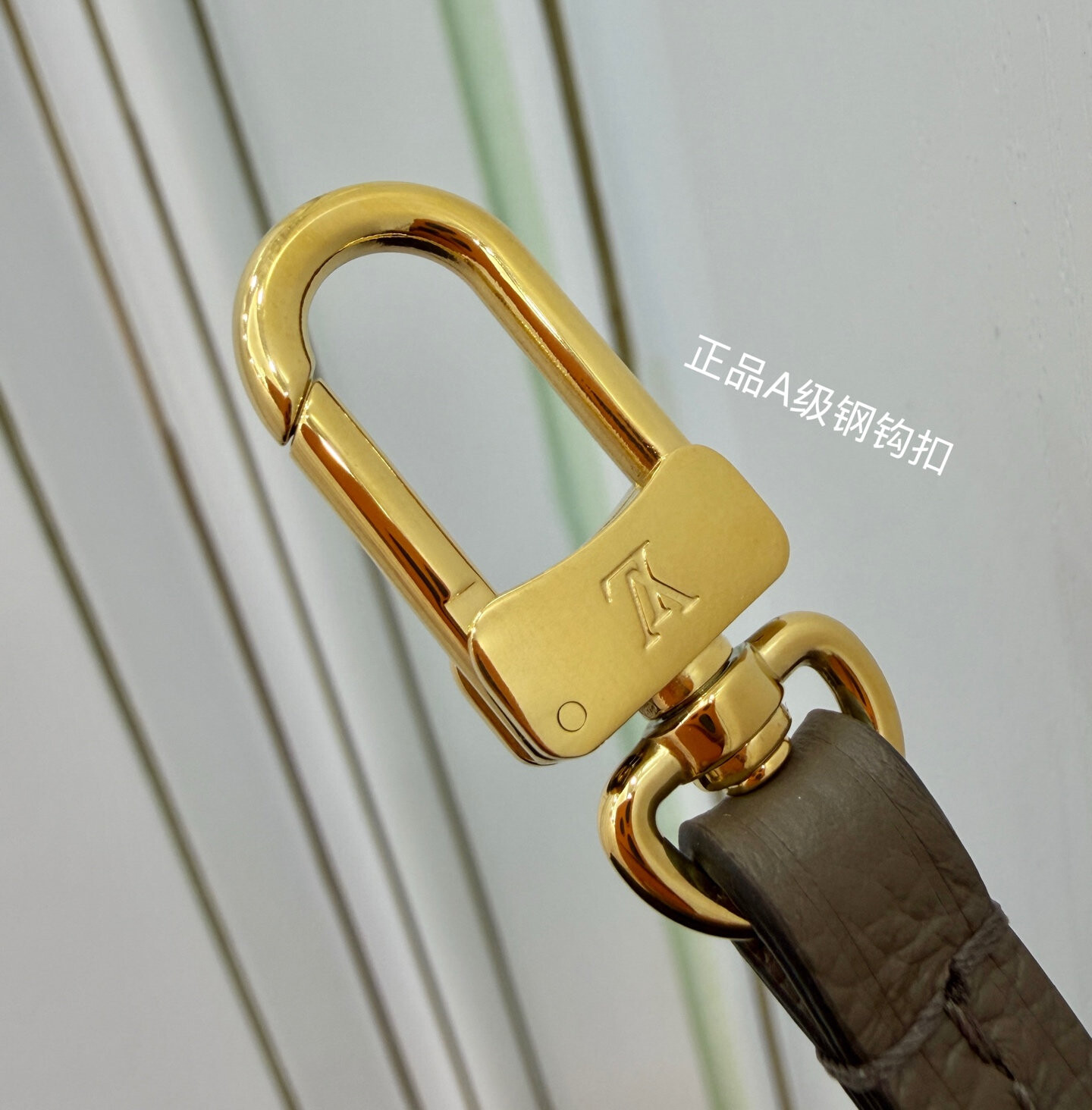 wsxc1763045867710 7 jpg