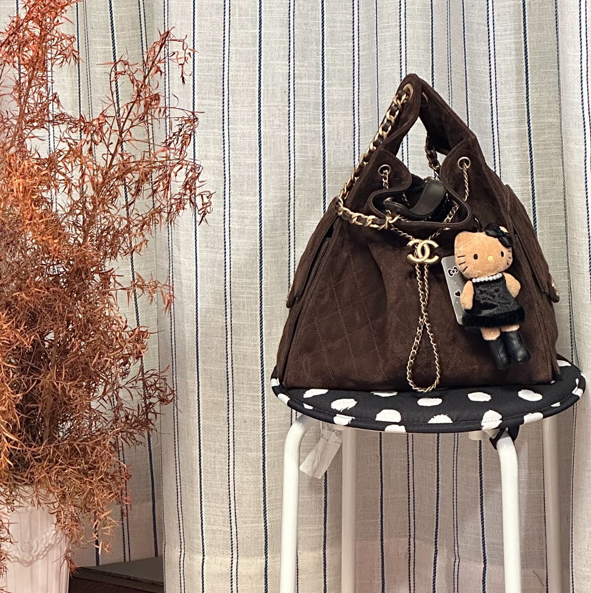 wsxc1764776530524 3 jpg