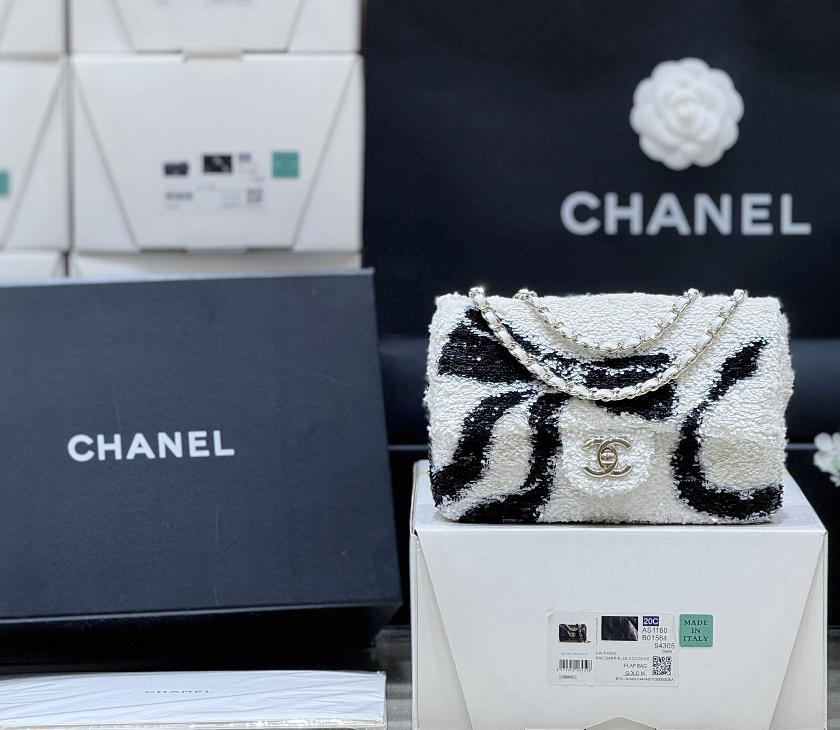 wsxc1764777004671 0 jpg