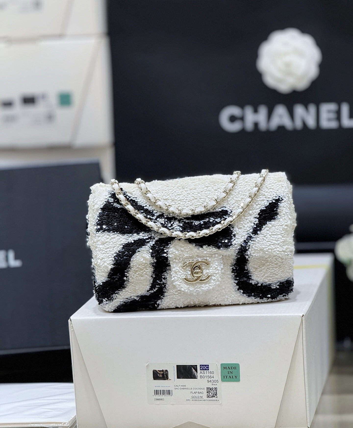 wsxc1764777004671 1 jpg