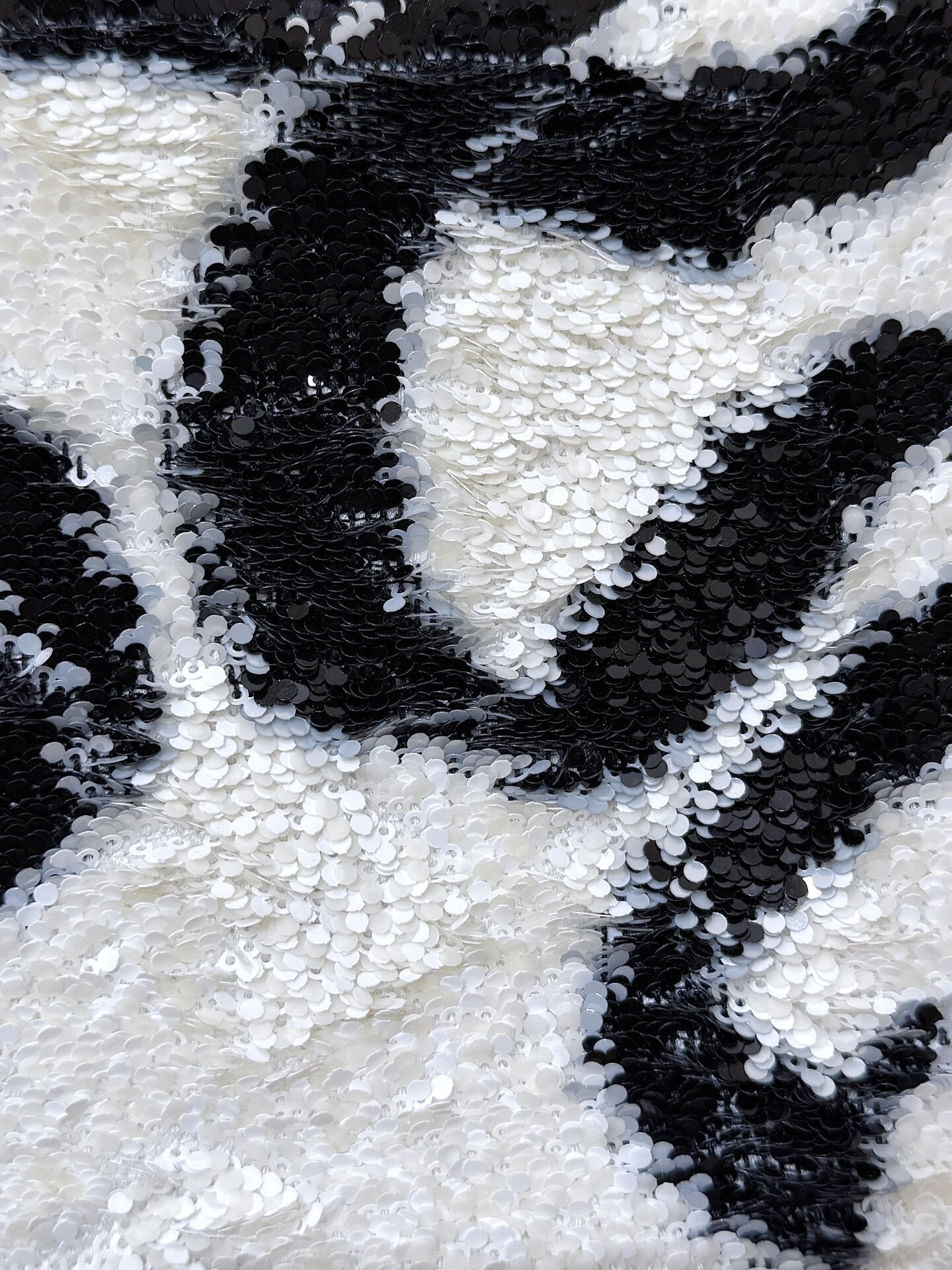 wsxc1764777005968 8 jpg