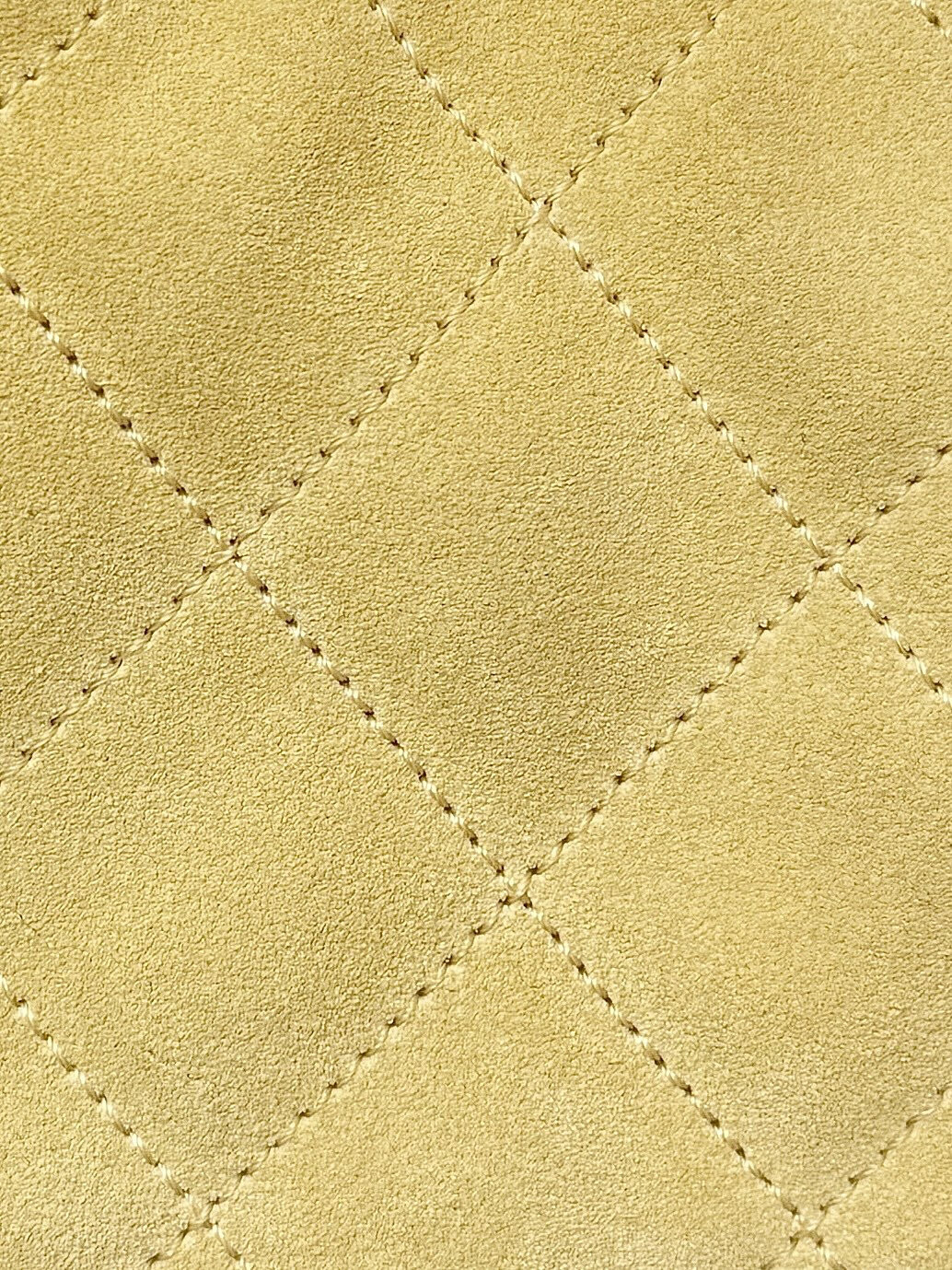 wsxc1764778512391 3 jpg