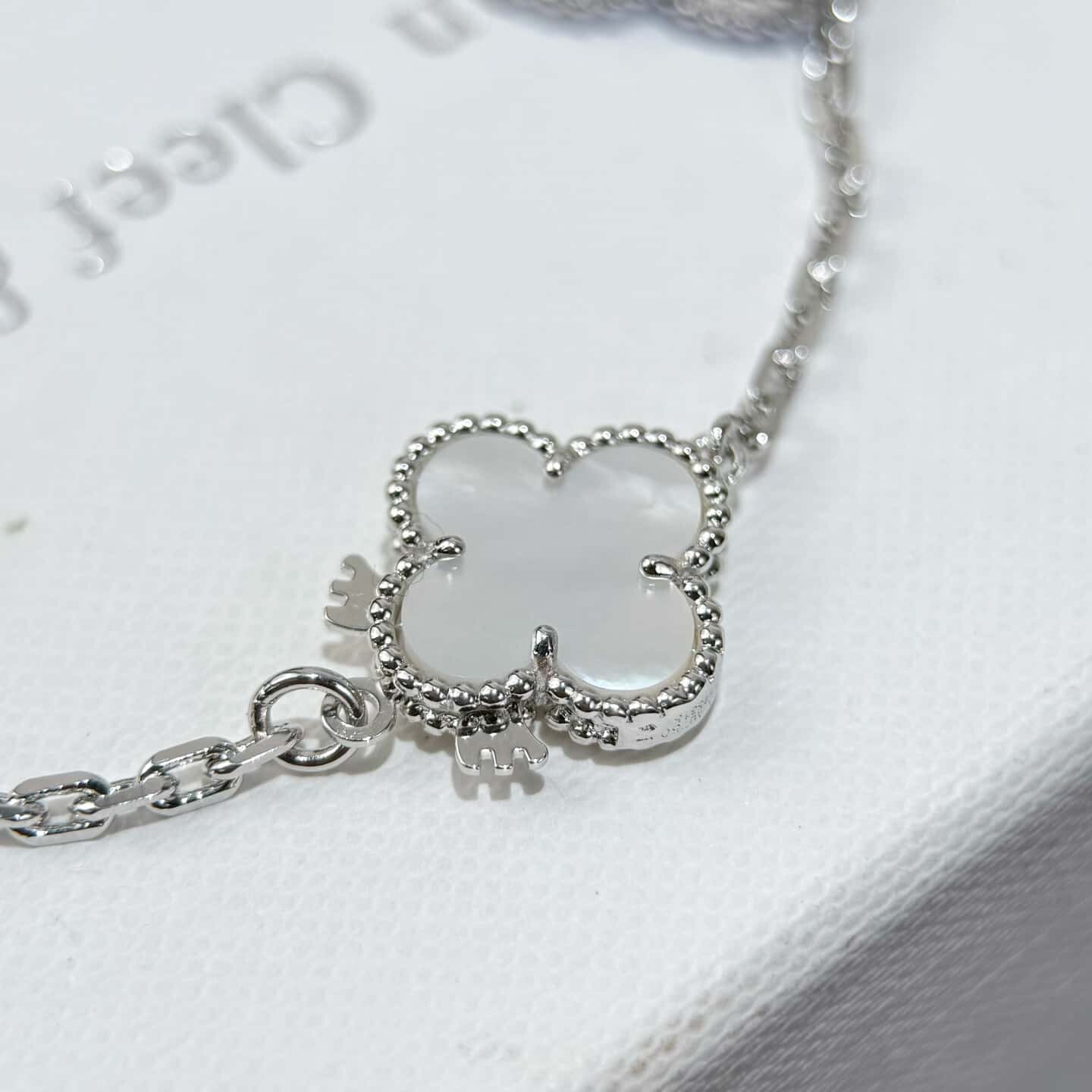 wsxc1766678438992 5 副本