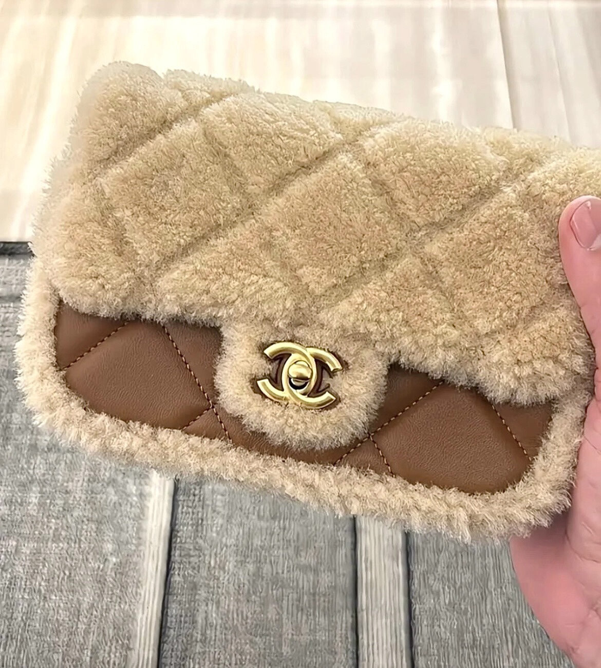 wsxc1767707905327 0 jpg