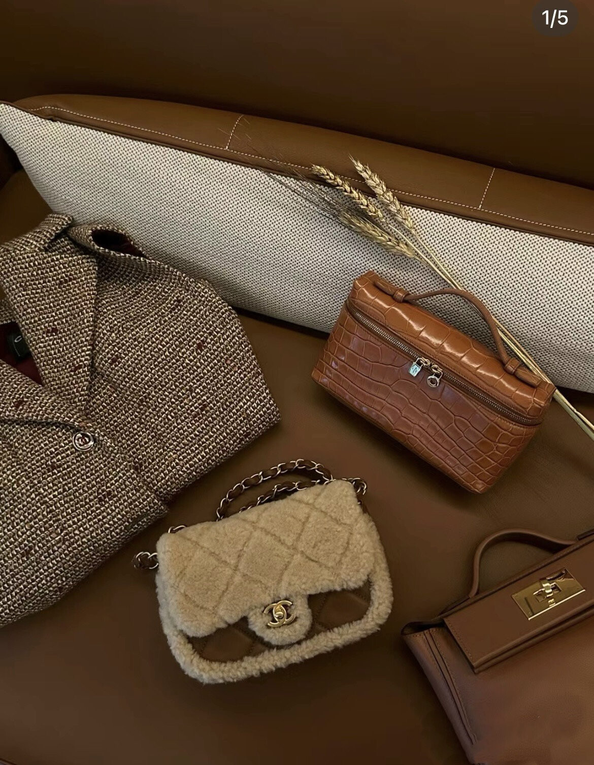 wsxc1767707905327 5 jpg