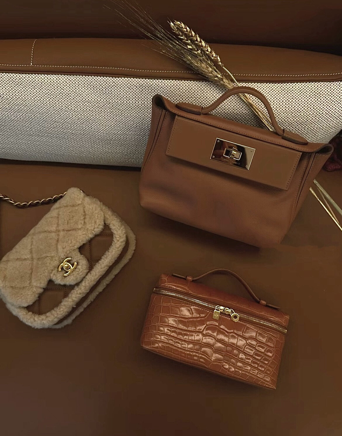 wsxc1767707905327 7 jpg