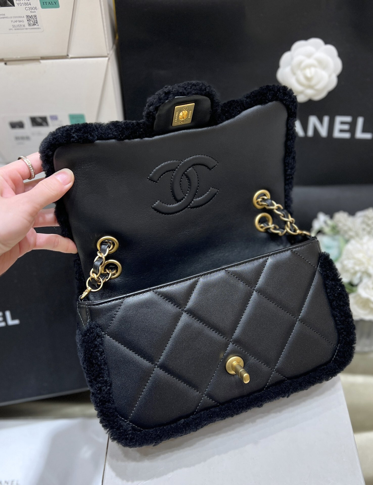 wsxc1767708304174 4 jpg