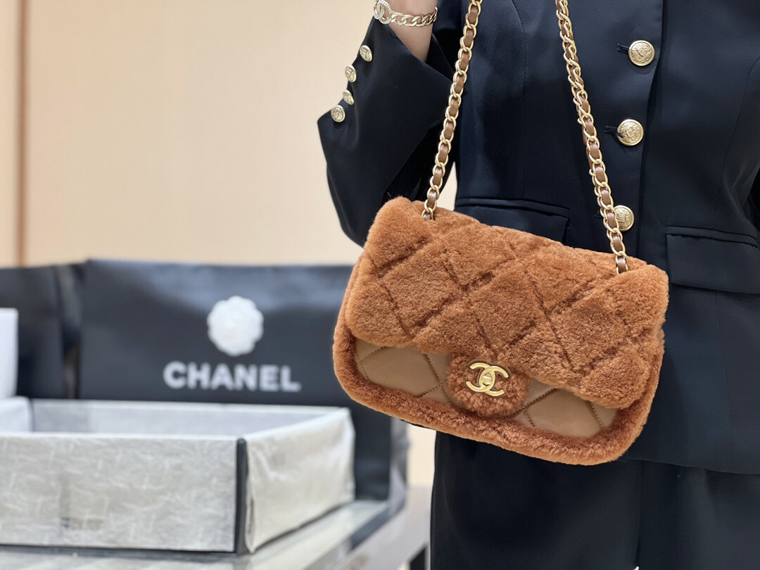 wsxc1767708391720 2 jpg