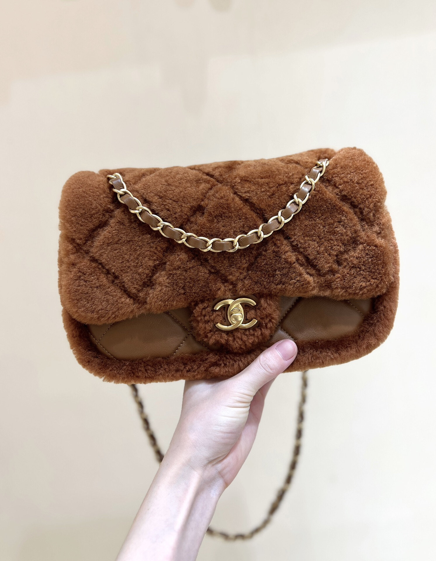 wsxc1767708393793 0 jpg