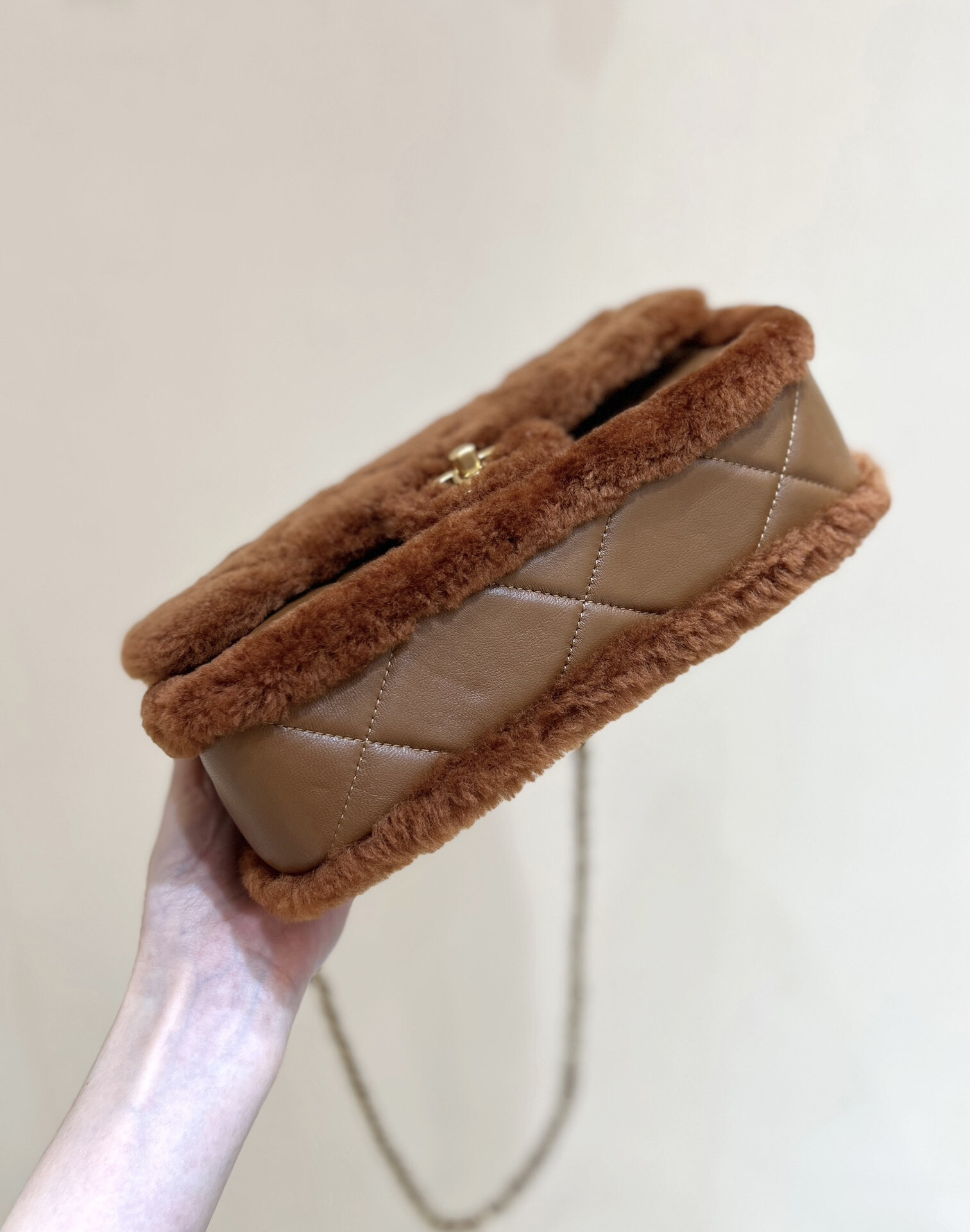 wsxc1767708393793 4 jpg