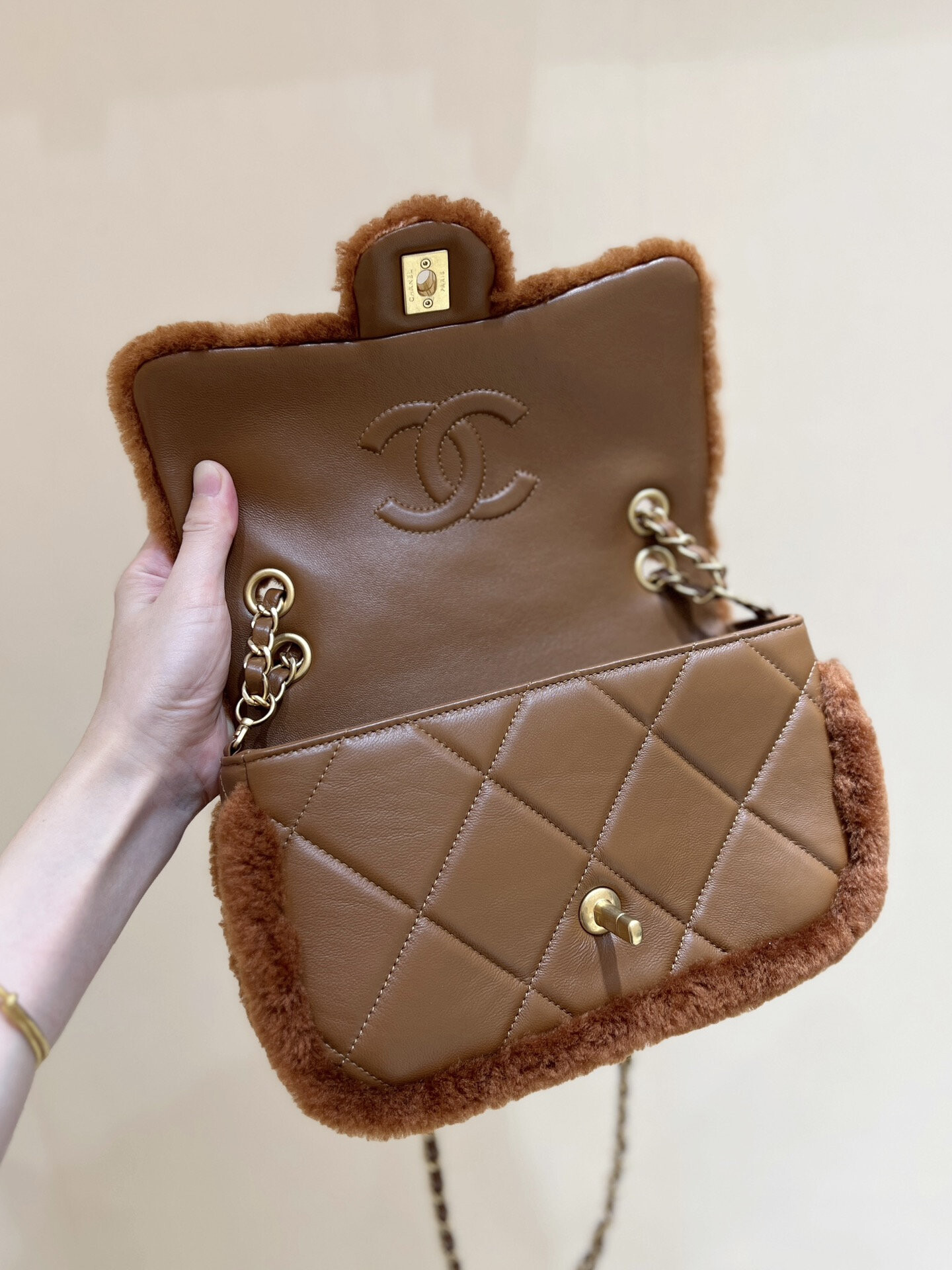 wsxc1767708393793 5 jpg