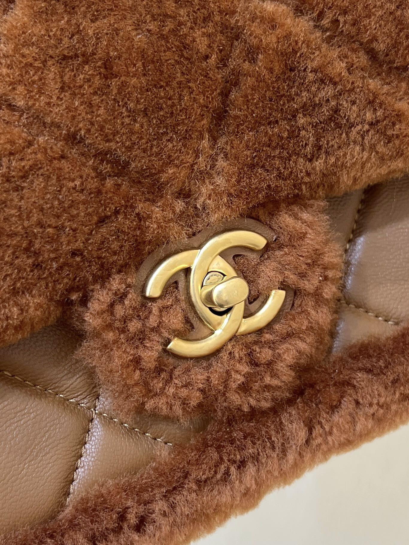 wsxc1767708393793 8 jpg