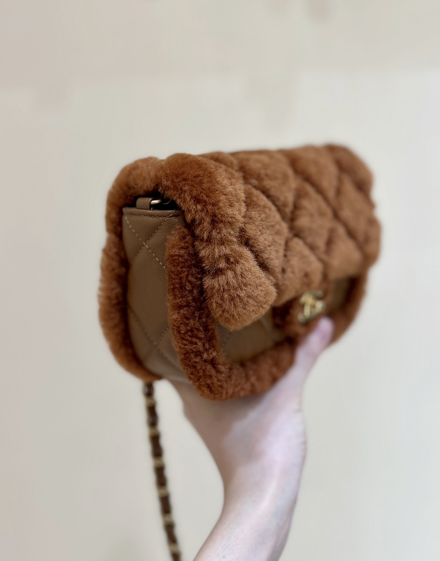 wsxc1767708532323 1 jpg