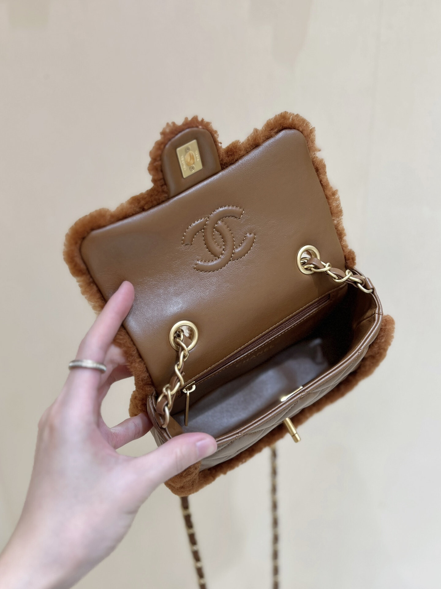 wsxc1767708532323 5 jpg