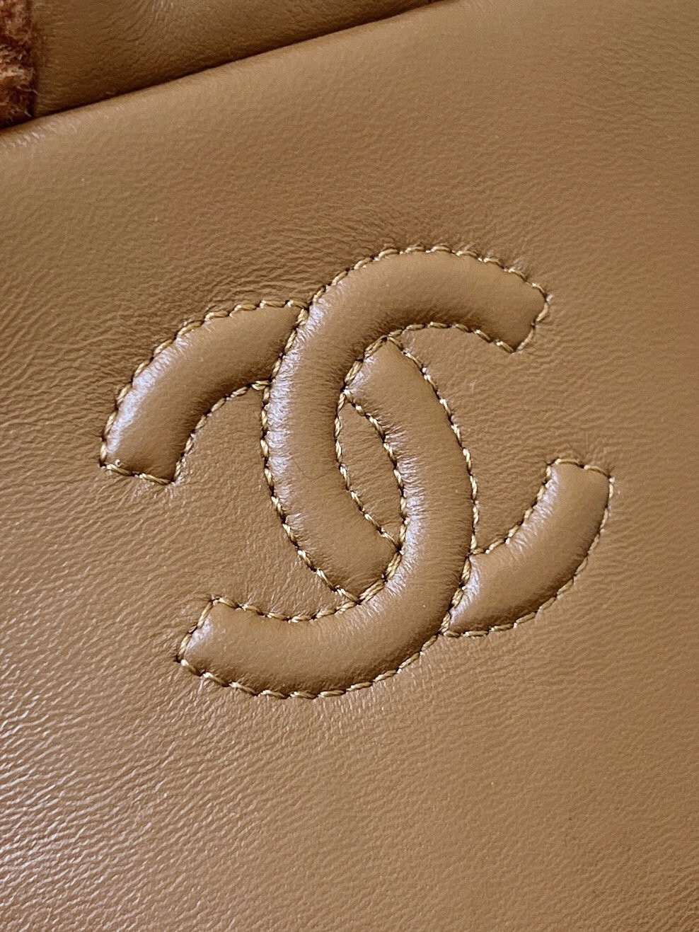 wsxc1767708532323 7 jpg