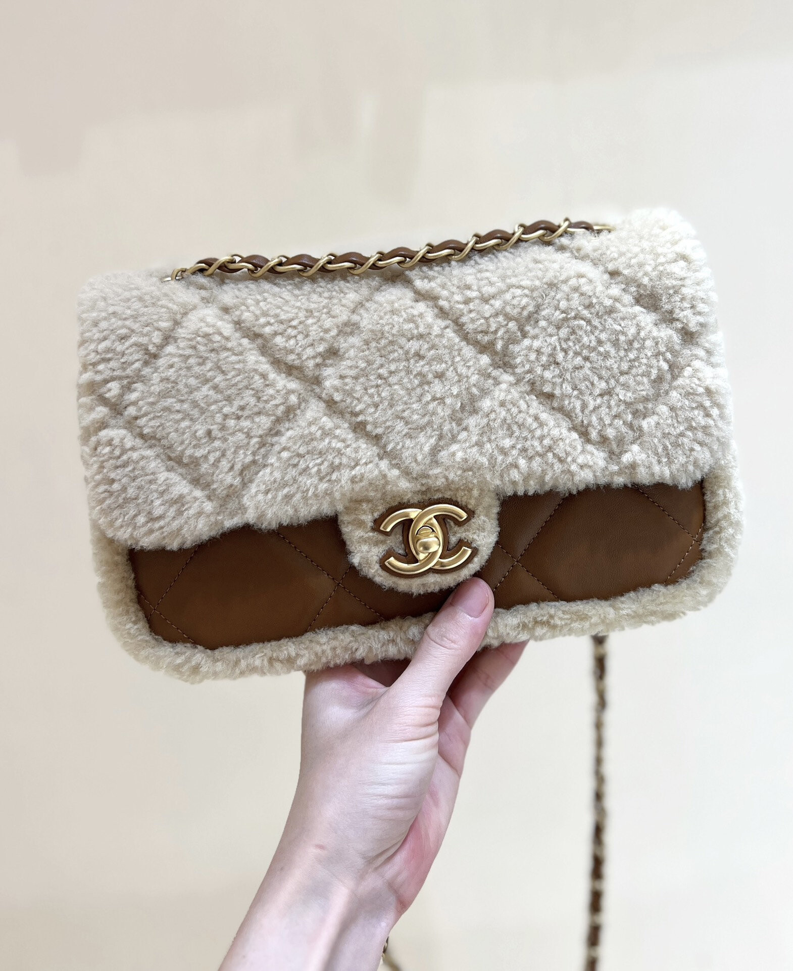 wsxc1767708816100 0 jpg