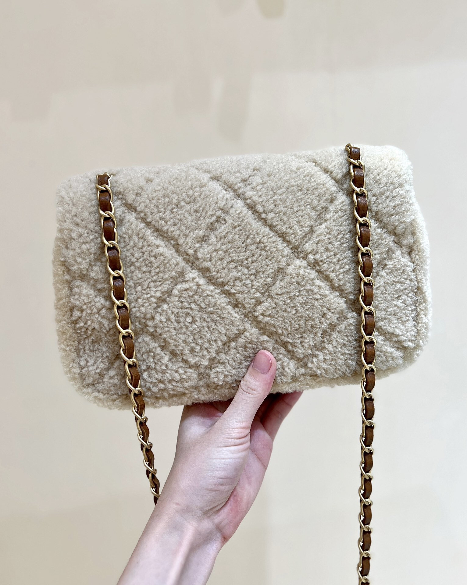 wsxc1767708816100 3 jpg