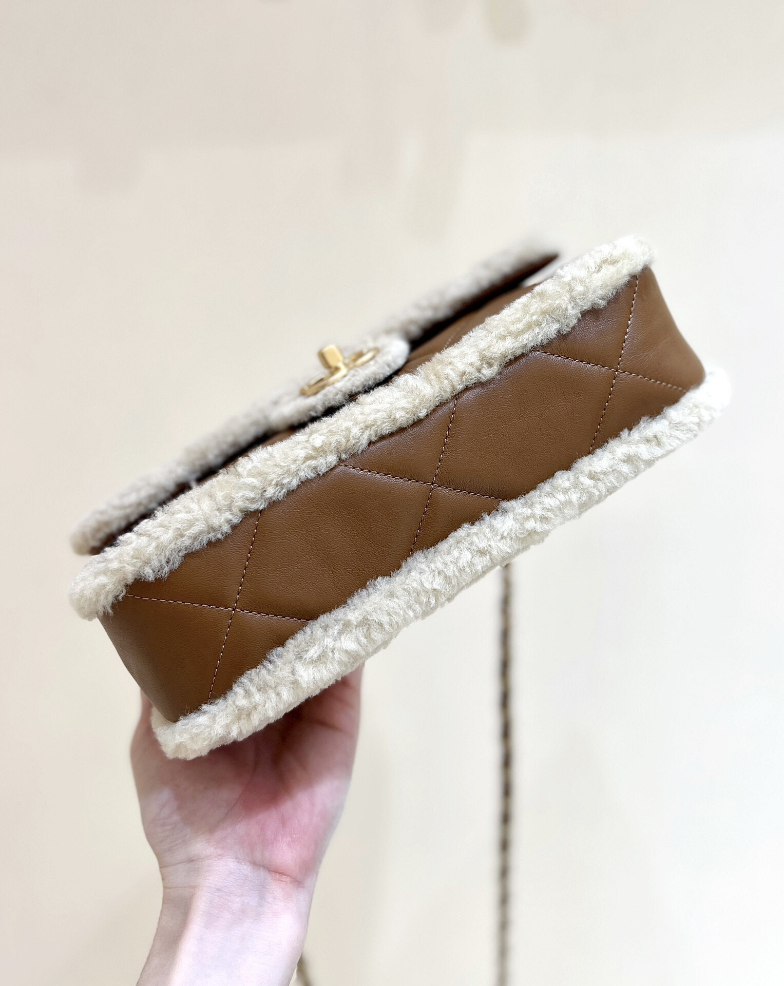 wsxc1767708816100 4 jpg