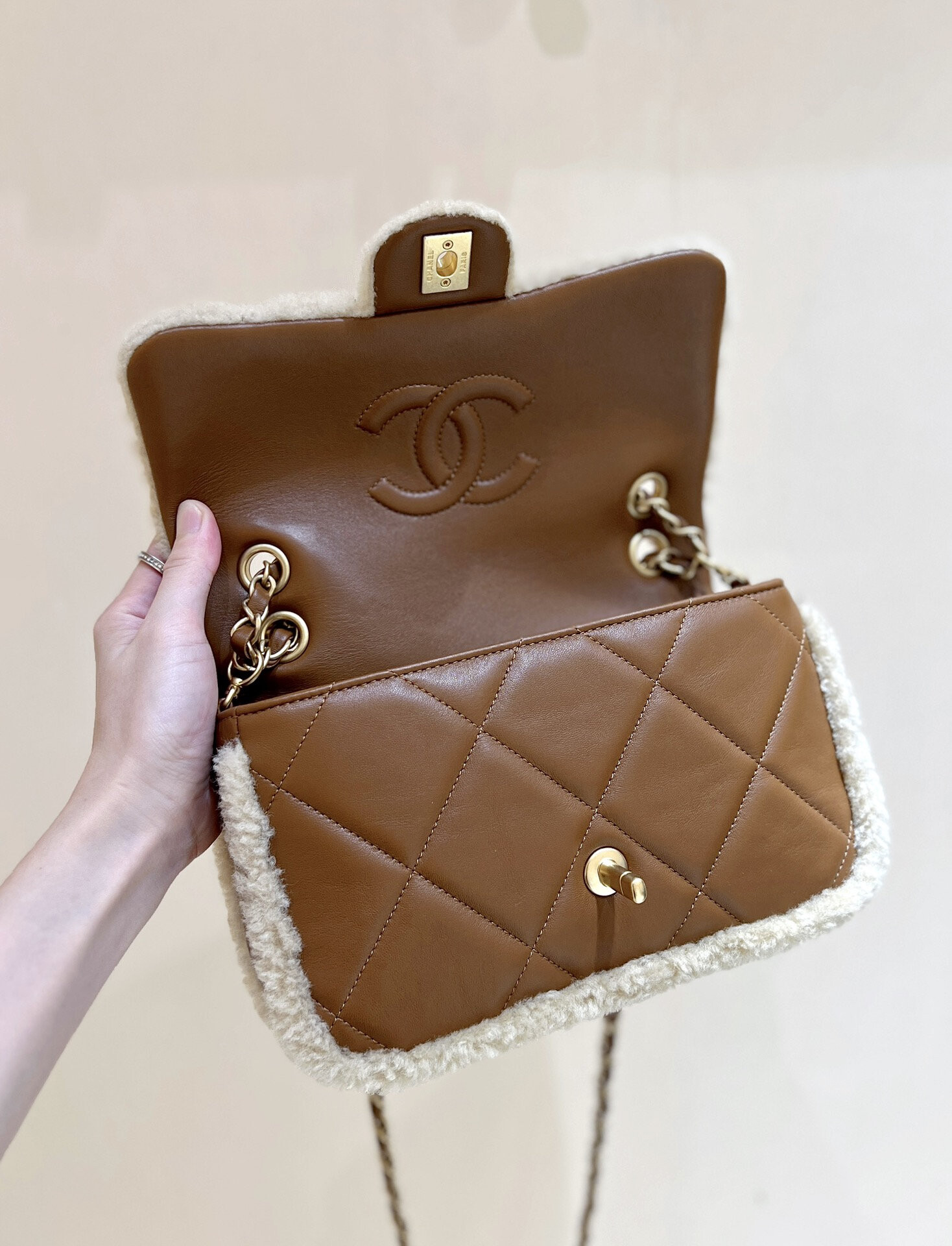 wsxc1767708816100 5 jpg