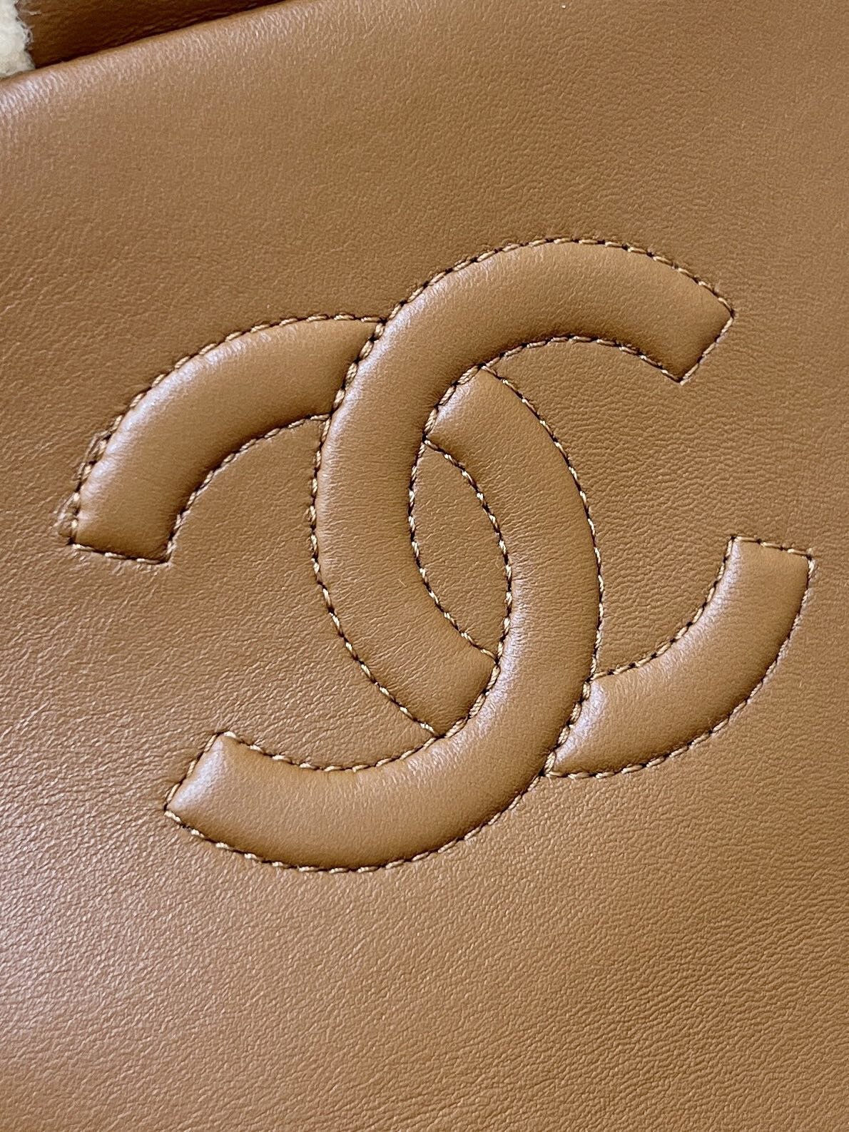 wsxc1767708816100 7 jpg