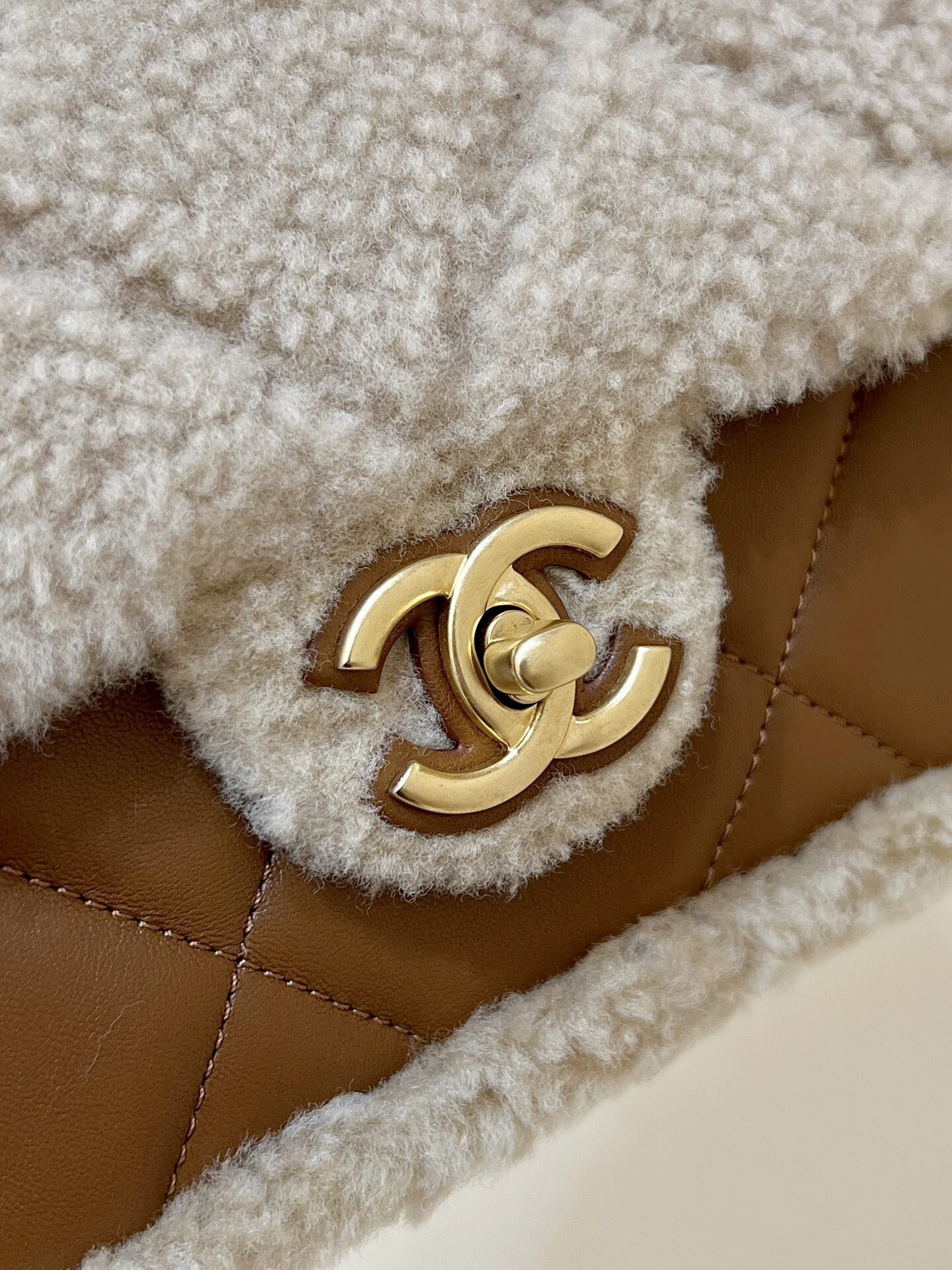 wsxc1767708816101 8 jpg