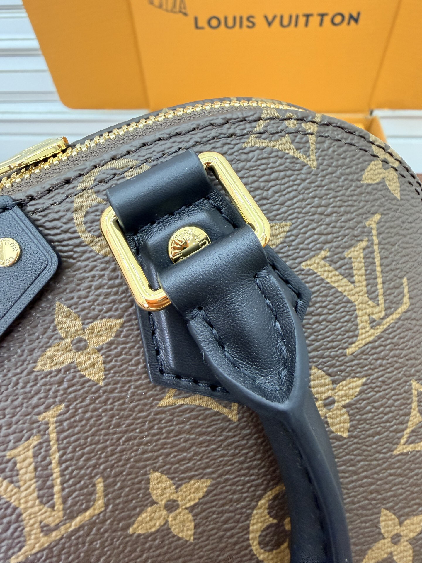 wsxc1769092715390 5 jpg