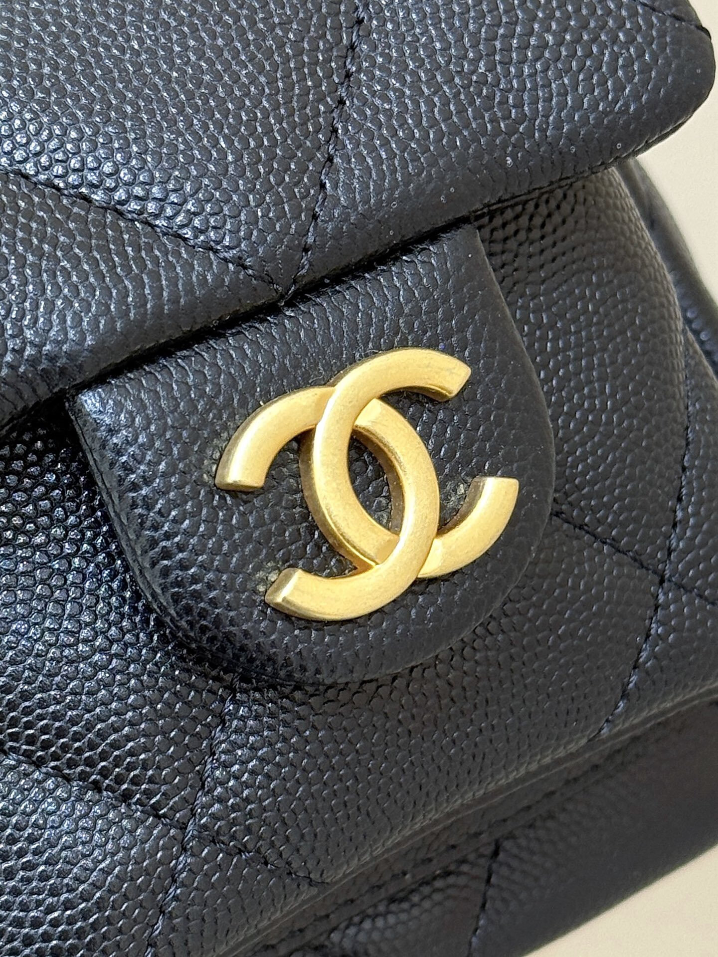 wsxc1769095361512 5 jpg