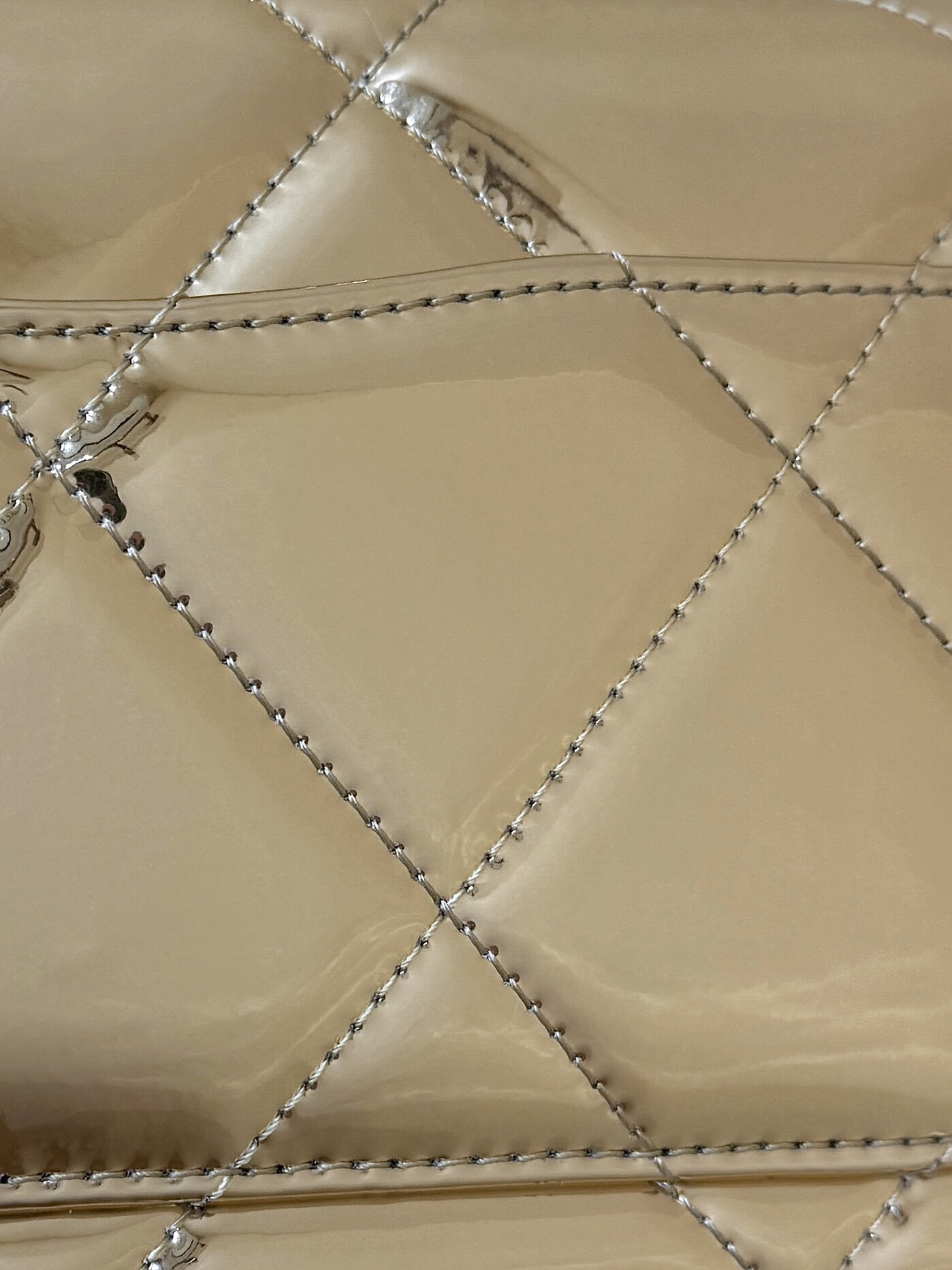 wsxc1769096679455 6 jpg