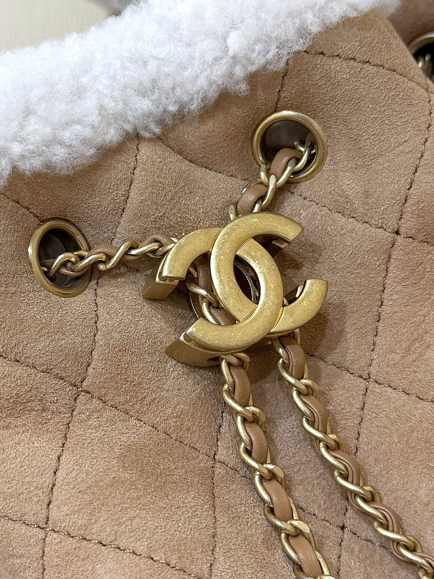 wsxc1769100991328 6 jpg