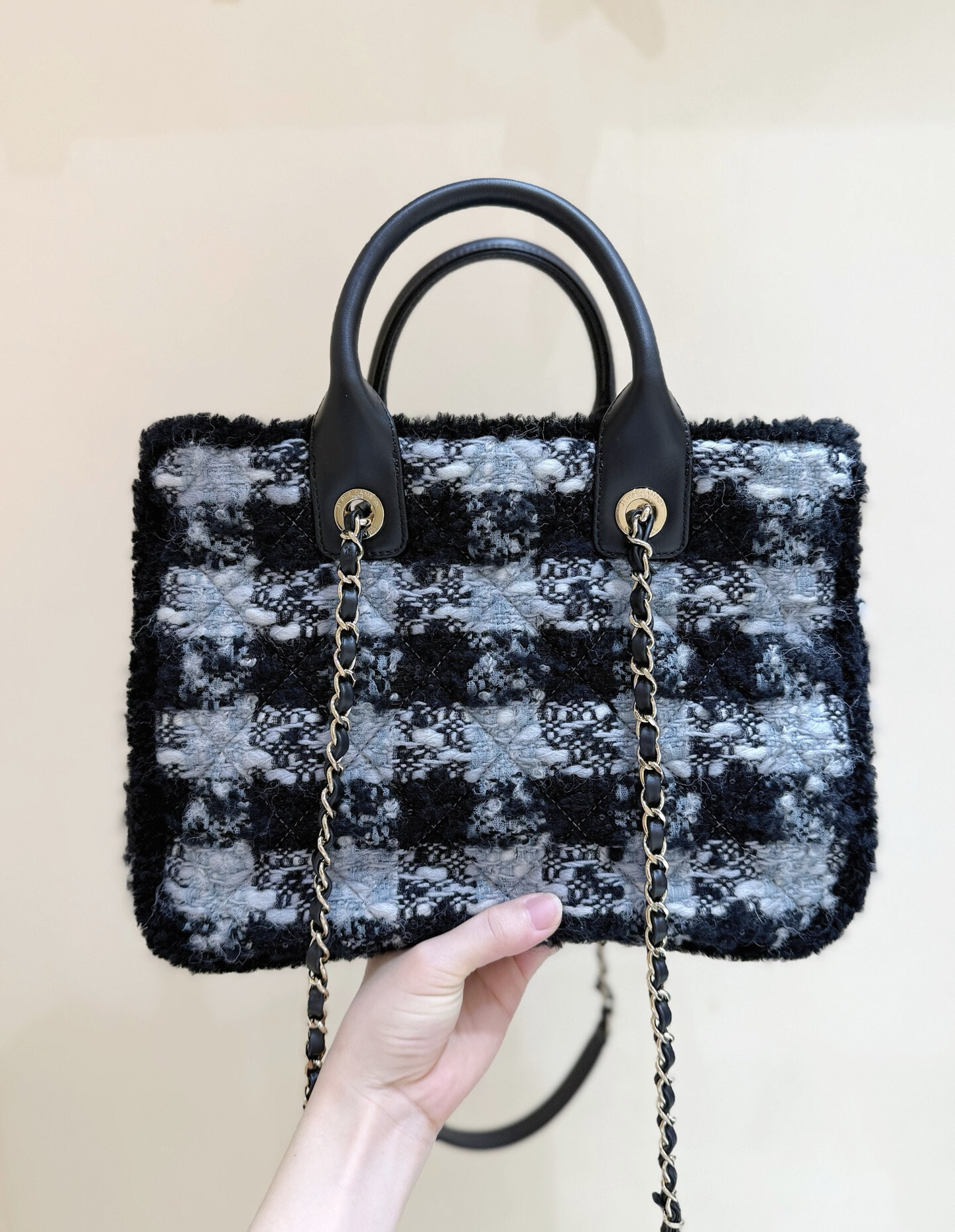 wsxc1769101261604 3 jpg